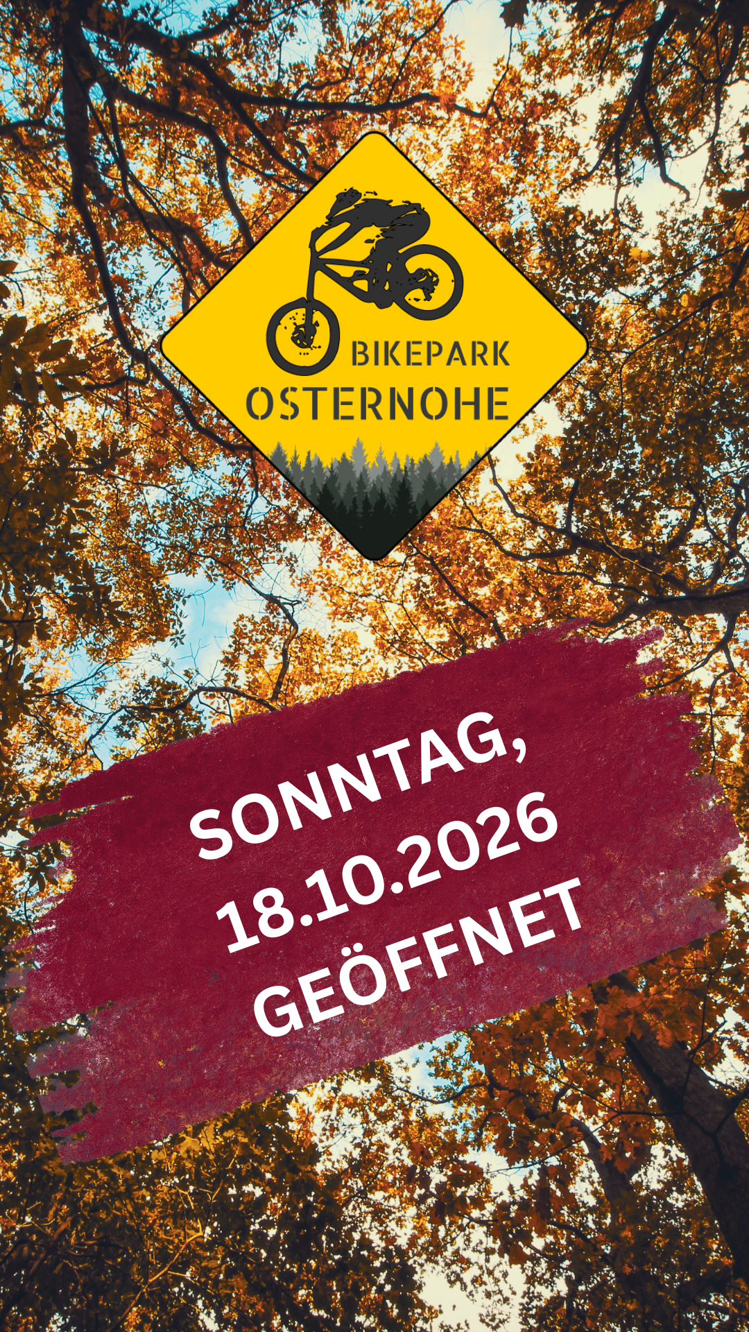 Zwischenüberschrift hinzufügen_20261017_225432_0000